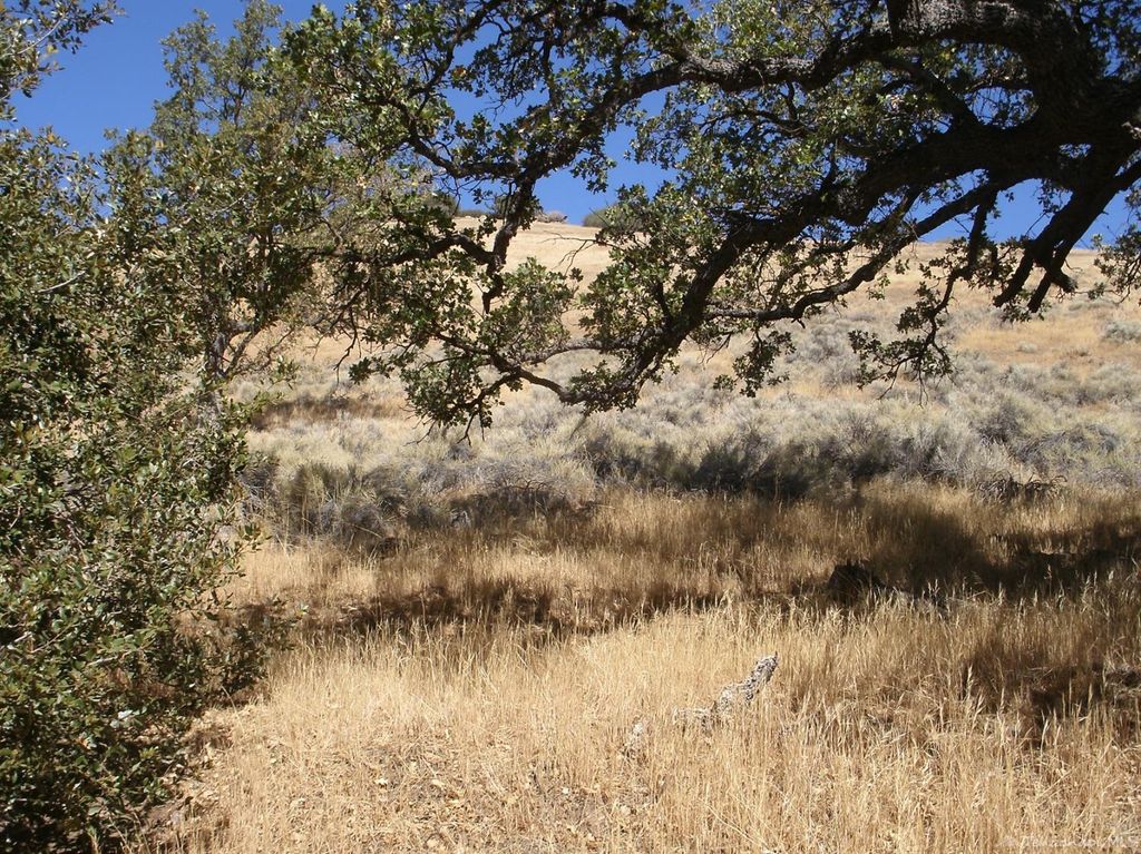 23001 Matterhorn Dr, Tehachapi, CA 93561 Trulia