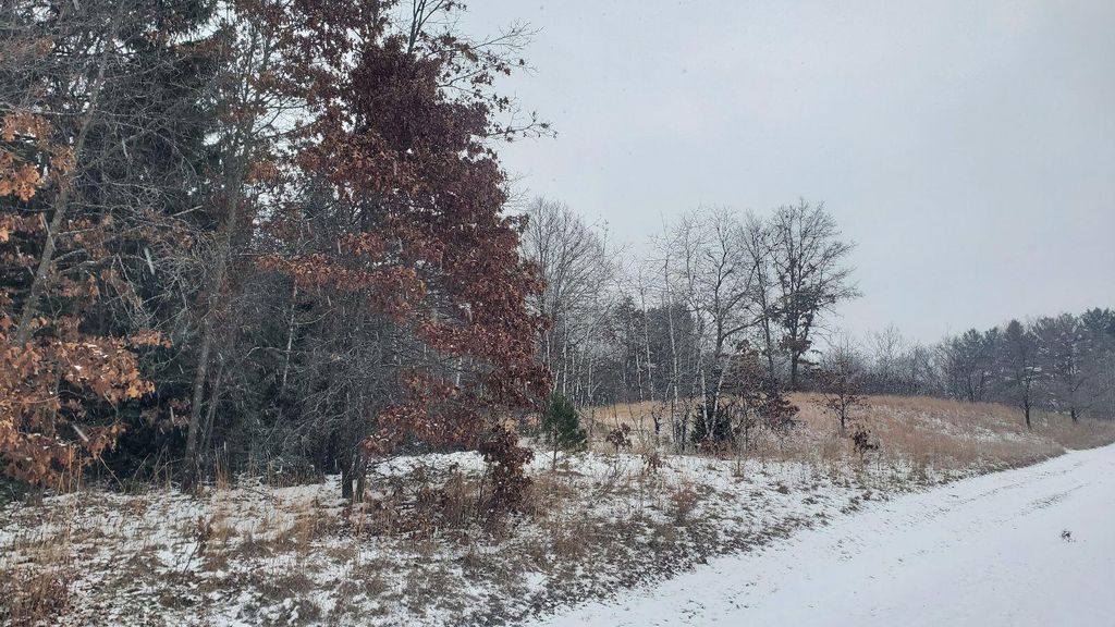 PARCEL Lester St A, White Cloud, MI 49349 MLS 25001337 Trulia