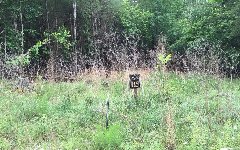Lot 115 Hills At Queen Gap, Blairsville, GA 30512 Trulia