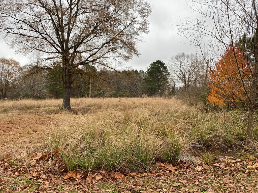 117 Ouachita 186, Bearden, AR 71720 Trulia