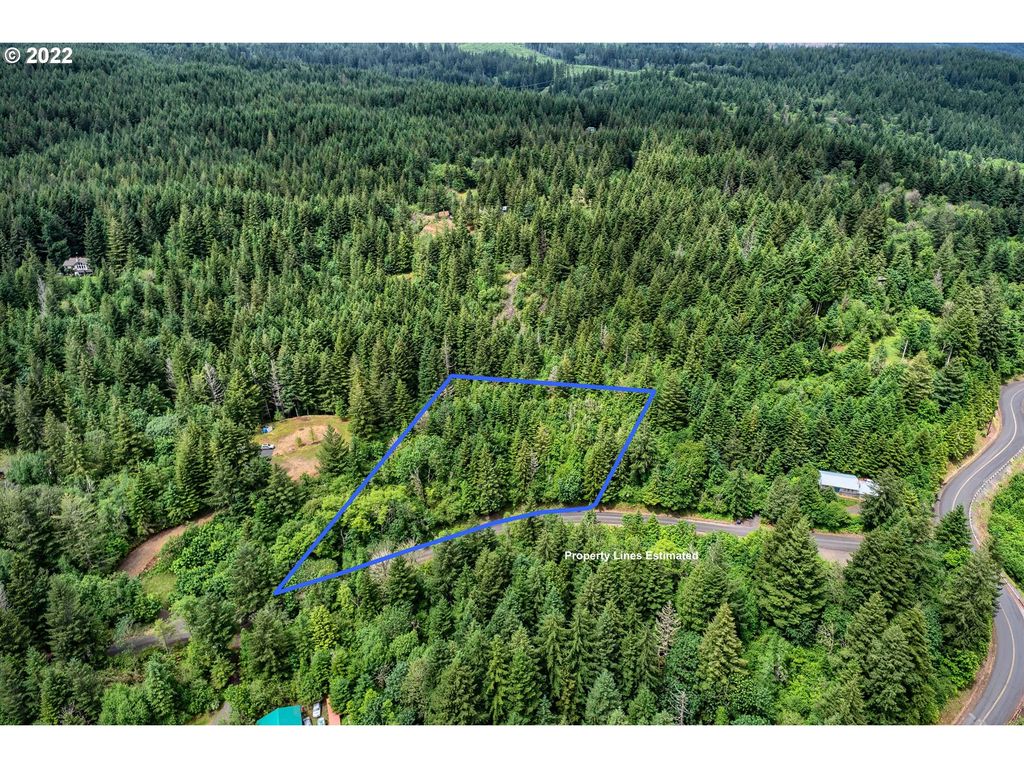 Archer Mountain Rd, Stevenson, WA 98648 MLS 22528876 Trulia