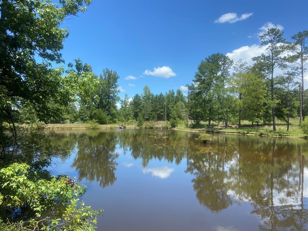 100B Mount Airy Dr, Waverly Hall, GA 31831 Trulia