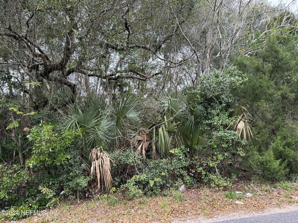 213 S WOODLAWN Street, Saint Augustine, FL 32084 MLS 2007401 Trulia