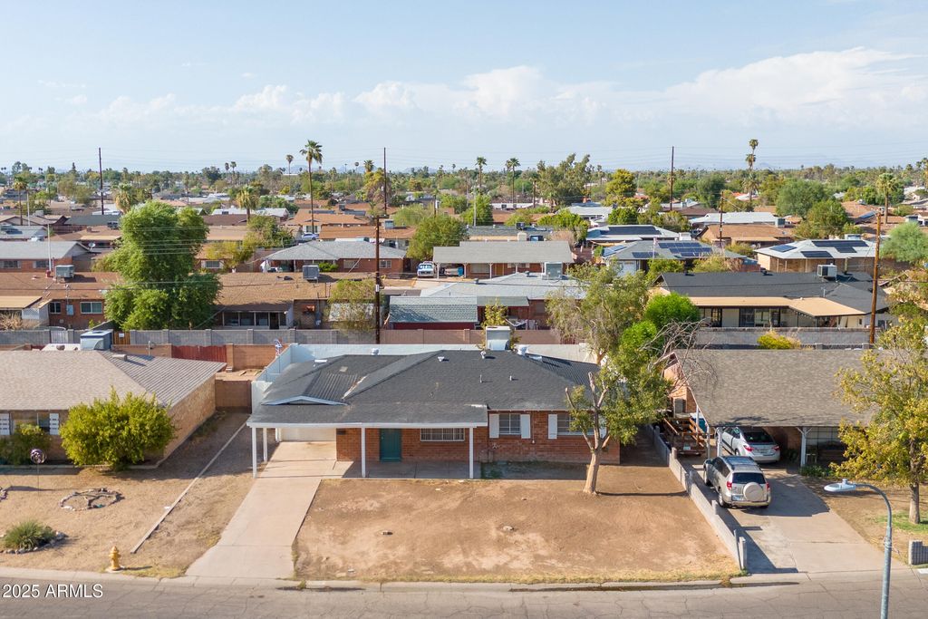 Budd&Joey  ブージートーピード Lost budgie in Glendale, Arizona