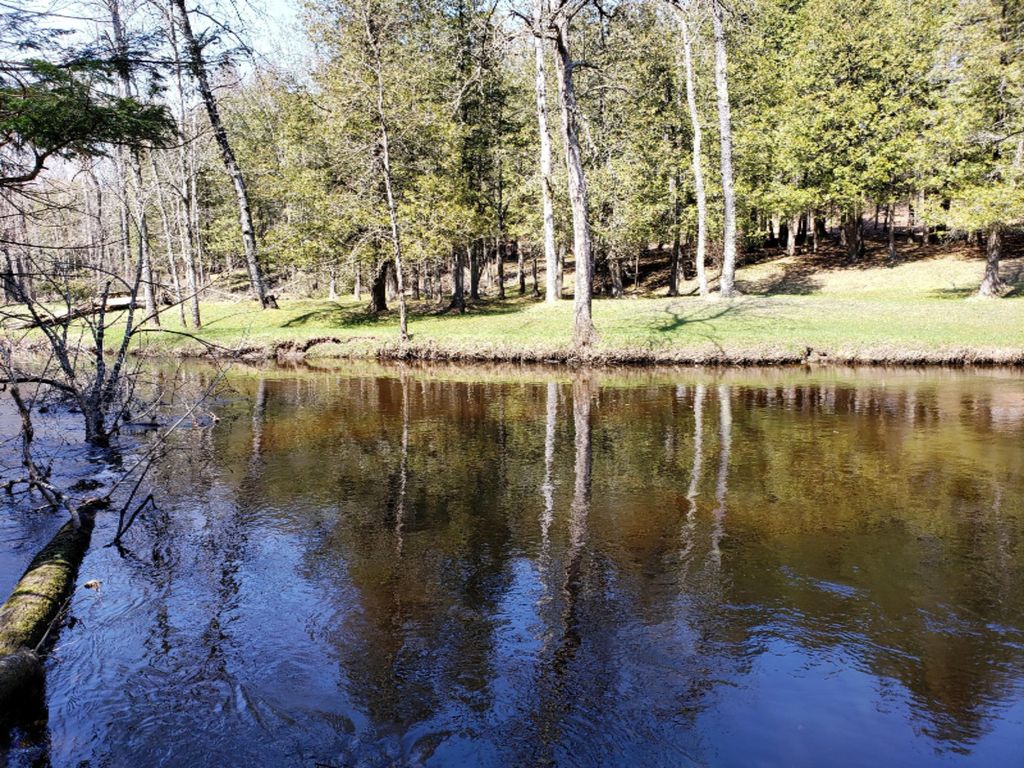 10 E Anne Dr, Walkerville, MI 49459 Trulia