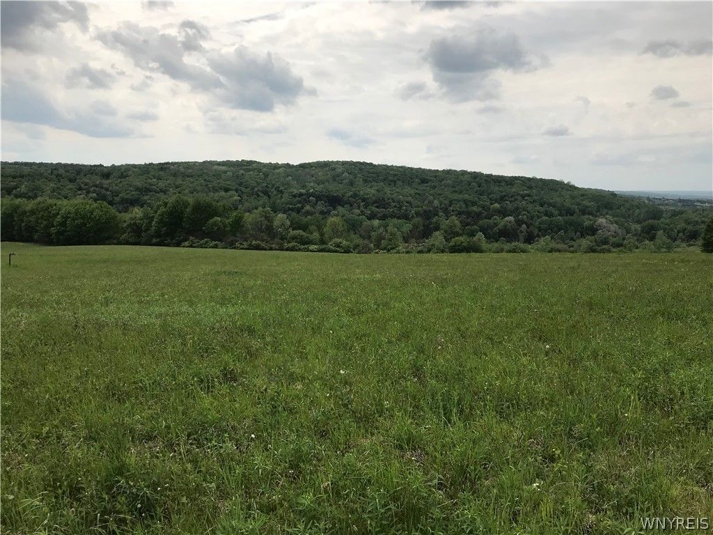 Vl Riceville Road Ashford, West Valley, NY 14171 Trulia