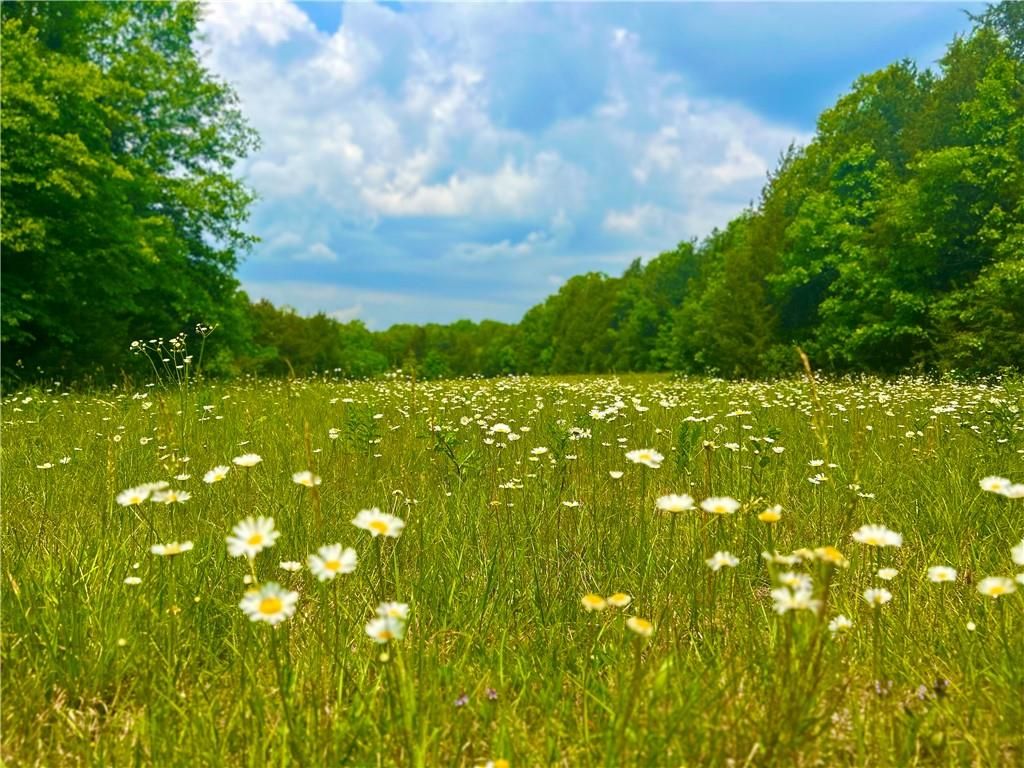 Delta Rd, Falcon, MO 65470 MLS 2438565 Trulia