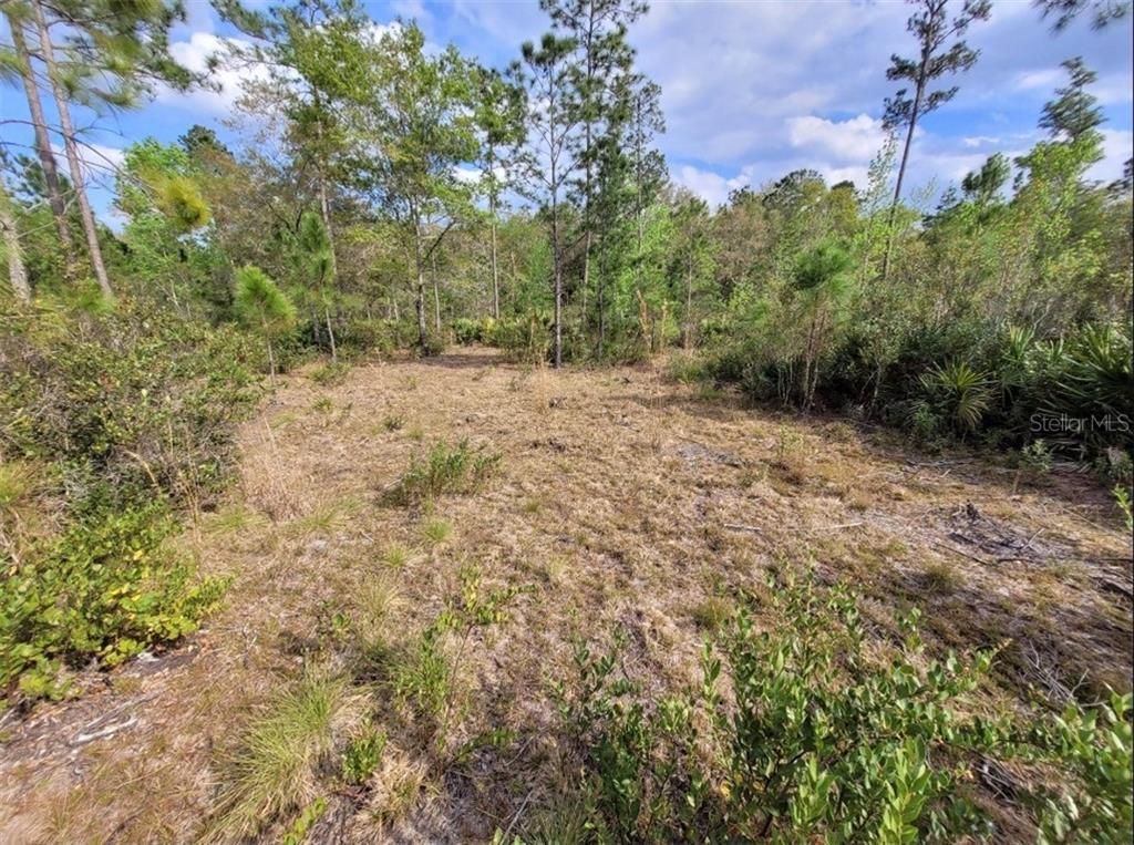 Ninemile point Rd, Pierson, FL 32180 Trulia