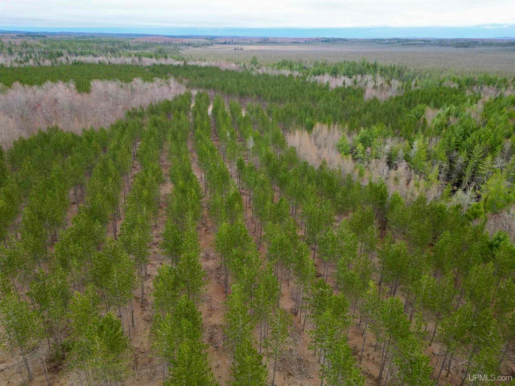 Off Cres 440, Rapid River, MI 49878 Trulia