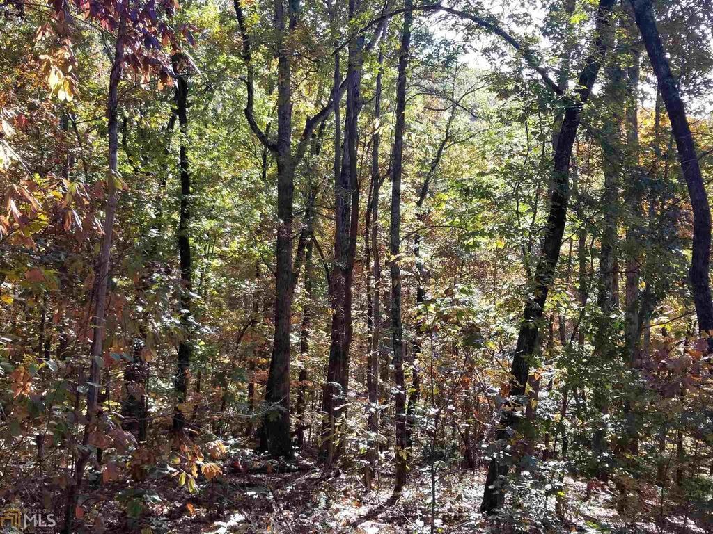 Teel Mountain Ln, Cleveland, GA 30528 Trulia