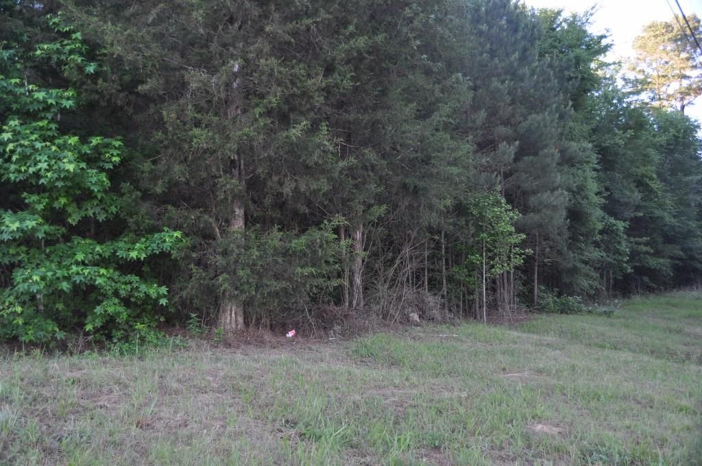 8 Buttermilk Rd, Cave Spring, GA 30124 Trulia