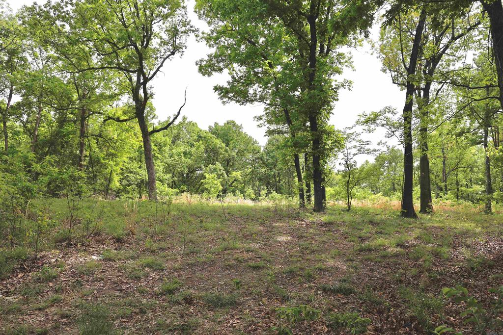 2 Plum Tree Trl SEE, Norfork, AR 72658 MLS 24014248 Trulia
