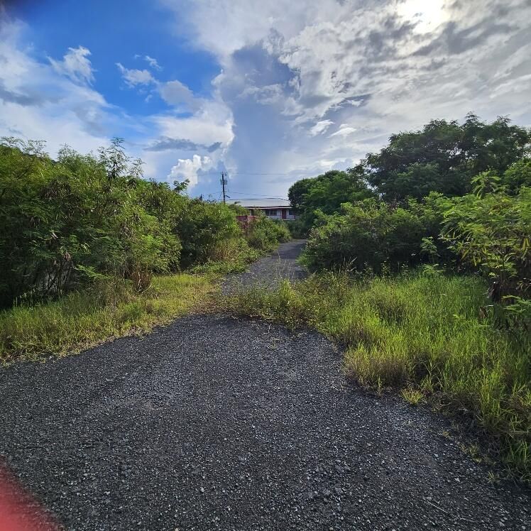 411 Contant Est S, Saint Thomas, VI 00802 MLS 241830 Trulia