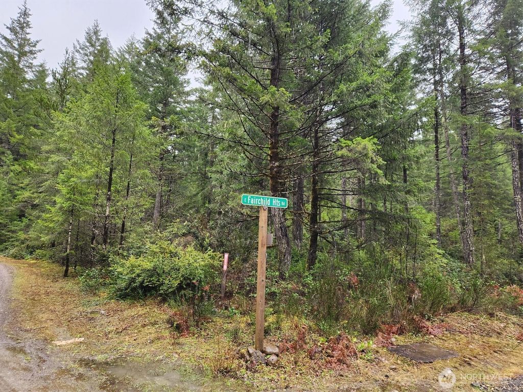 1 .23 Acre E Eagle Pt & Fairchild Hts Road, Shelton, WA 98584