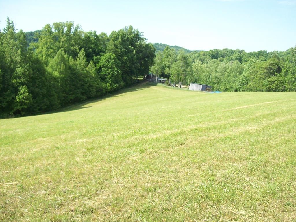 246 Shiloh Church Rd, Eidson, TN 37731 Trulia