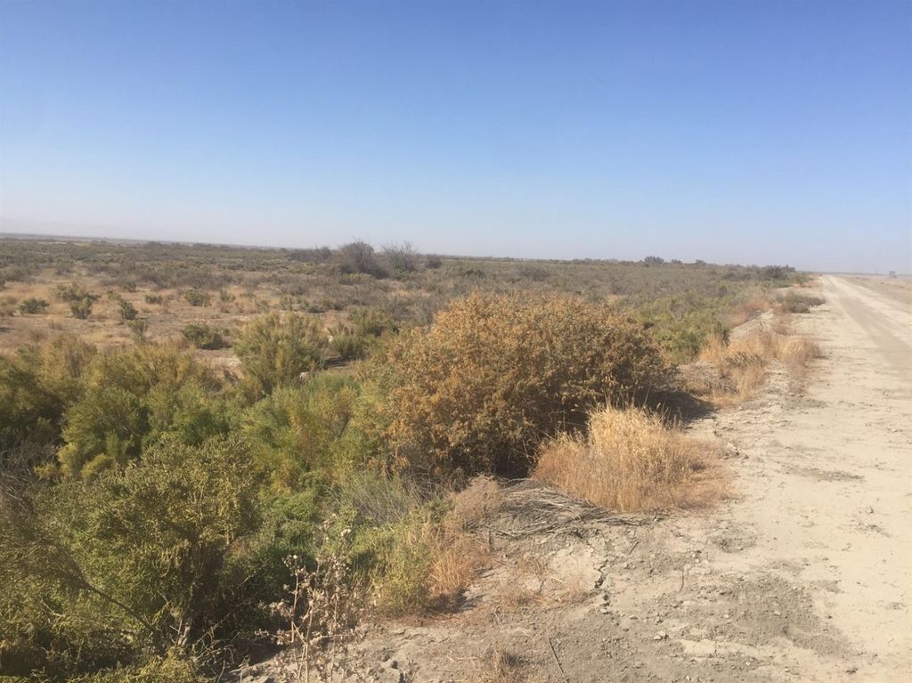 0, Buttonwillow, CA 93206 Trulia