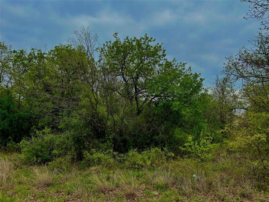 153 Julie Dr, Mineral Wells, TX 76067 MLS 20295265 Trulia