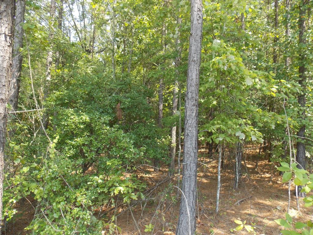 1384 Winding Ridge Dr, Tignall, GA 30668 Trulia