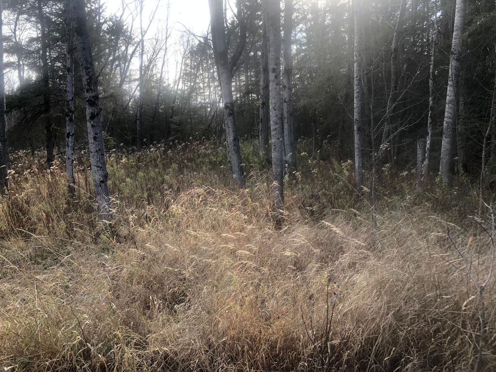 E M 134, Cedarville, MI 49719 Trulia