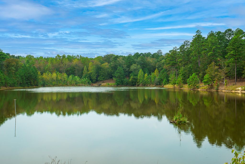 411 Snipes Pond Rd, Aiken, SC 29805 Trulia