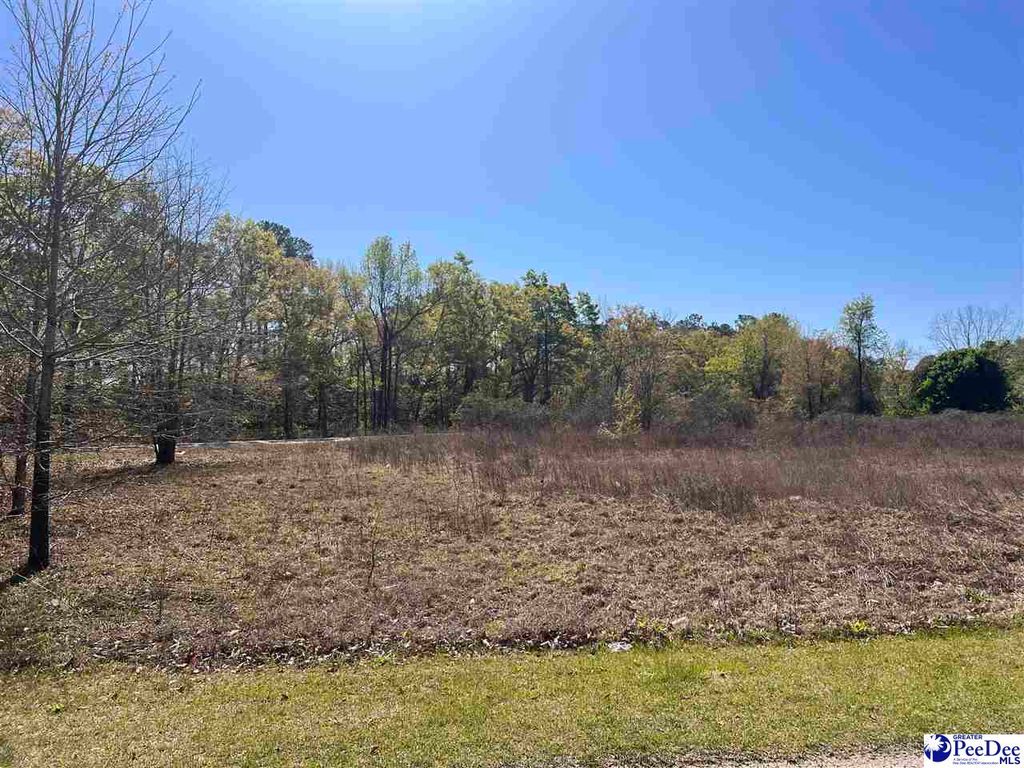 1 Diamond Branch Rd, Johnsonville, SC 29555 MLS 20241081 Trulia