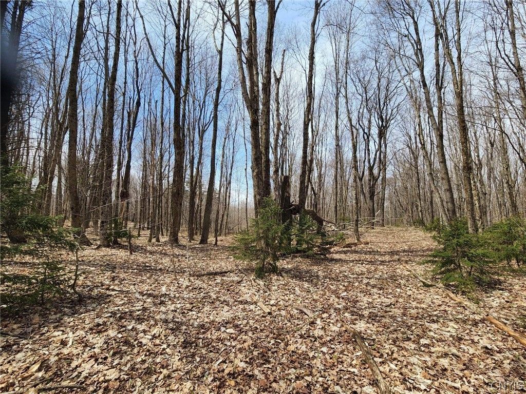 475 Denning Rd, Copenhagen, NY 13626 Trulia