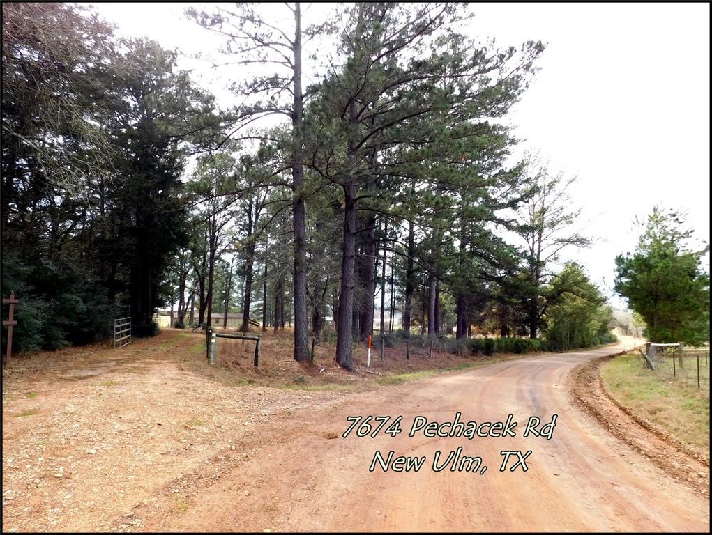 7674 Pechacek Rd, New Ulm, TX 78950