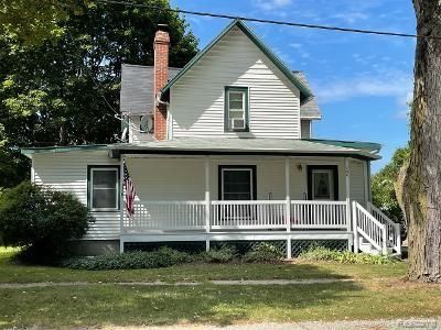 260 S Maple St, Onsted, MI 49265