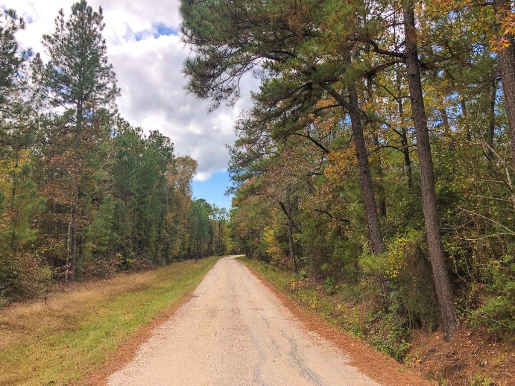 Willow Springs Rd, Coldspring, TX 77331 Trulia