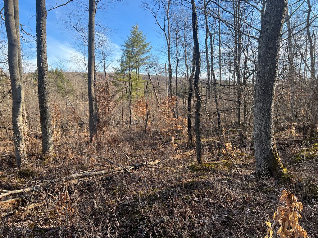 Flat Rd WP001, Grand Valley, PA 16420 Trulia