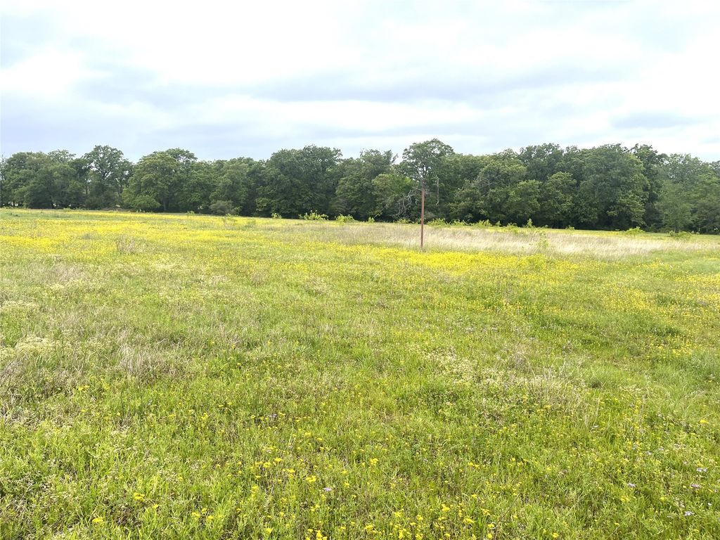 3576 Diamond Point Ln, North Zulch, TX 77872 Trulia