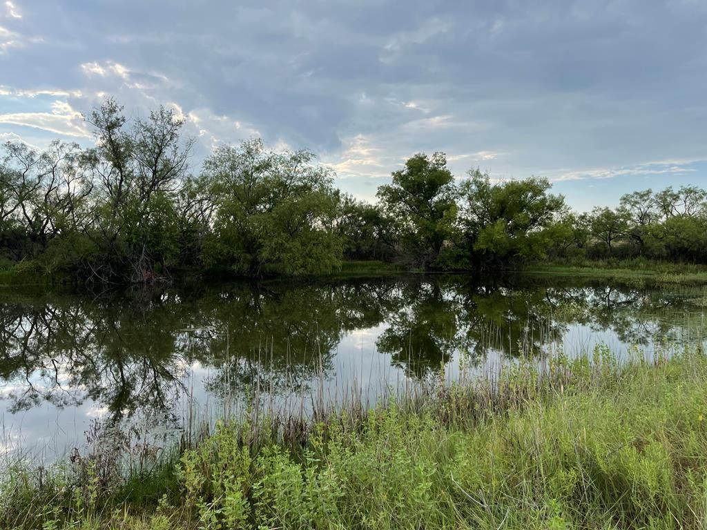 County Road 300, Gouldbusk, TX 76845 Trulia