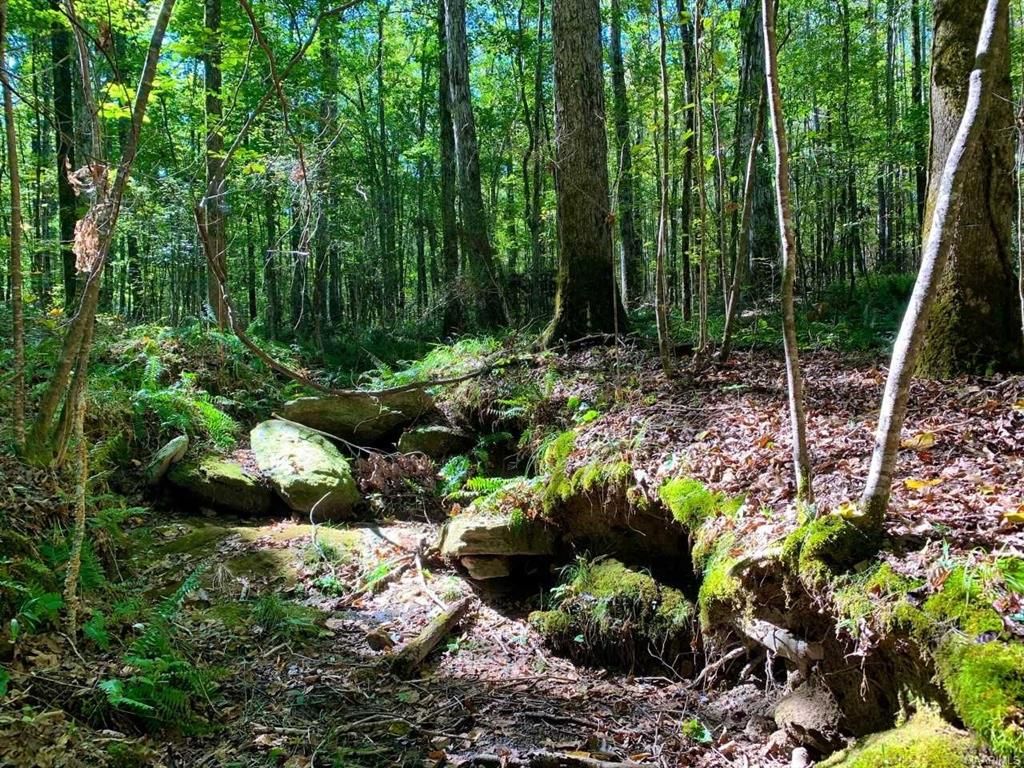 Weoka Rd, Wetumpka, AL 36092 Trulia