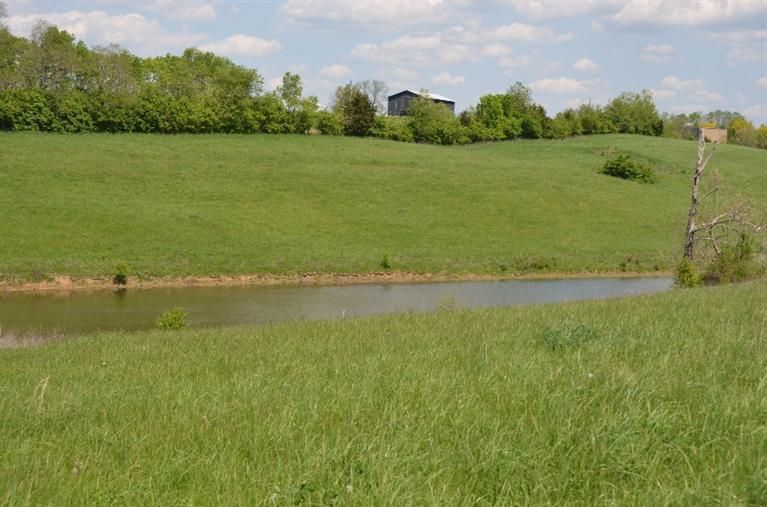 Republican Pike, Cynthiana, KY 41031 Trulia