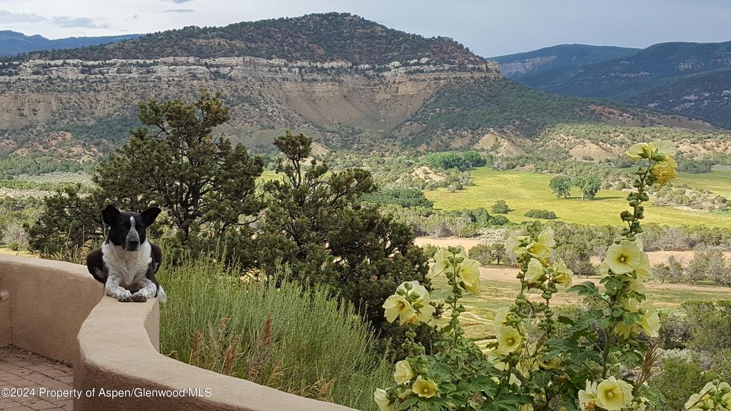 18+ Hay For Sale In Colorado