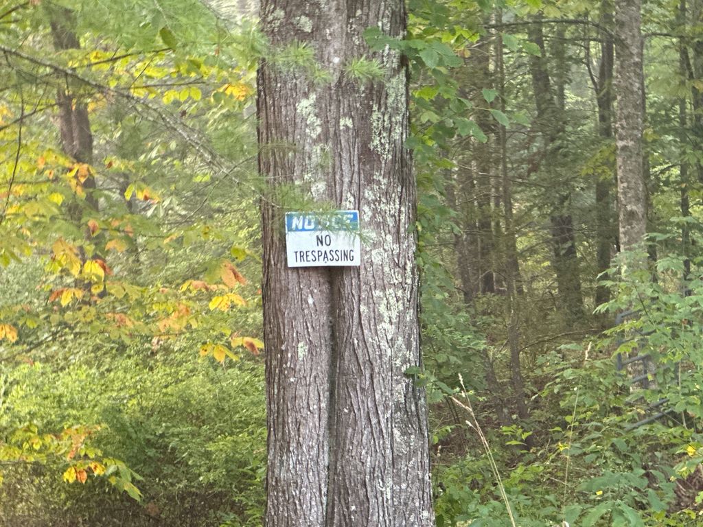 3682 Laurel Fork Rd, Rocky Gap, VA 24366 Trulia