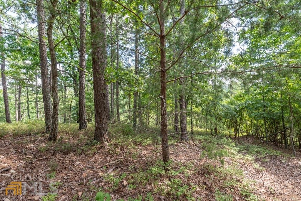 Lots 694 & 695 Talking Rock Creek Resort, Ranger, GA 30734 MLS