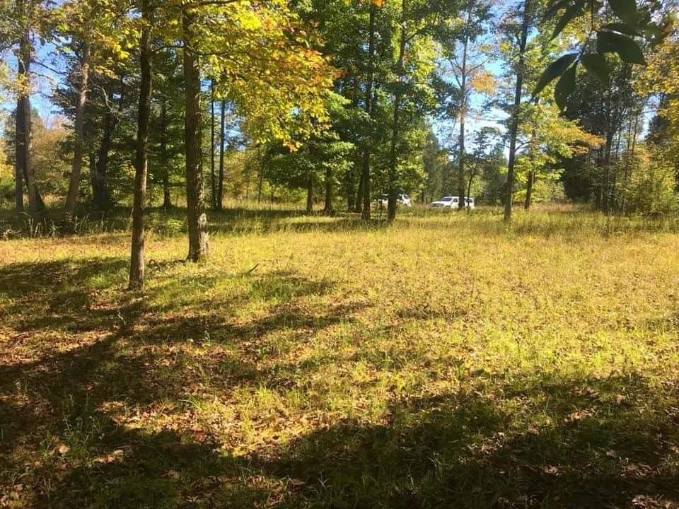 305 Riverview Dr, Hohenwald, TN 38462 Trulia