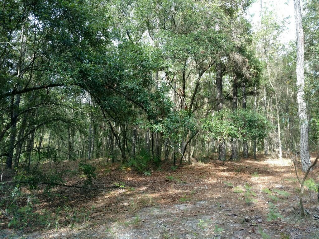 Deep Creek Plantation Settindown Dr, Bryceville, FL 32009 Trulia