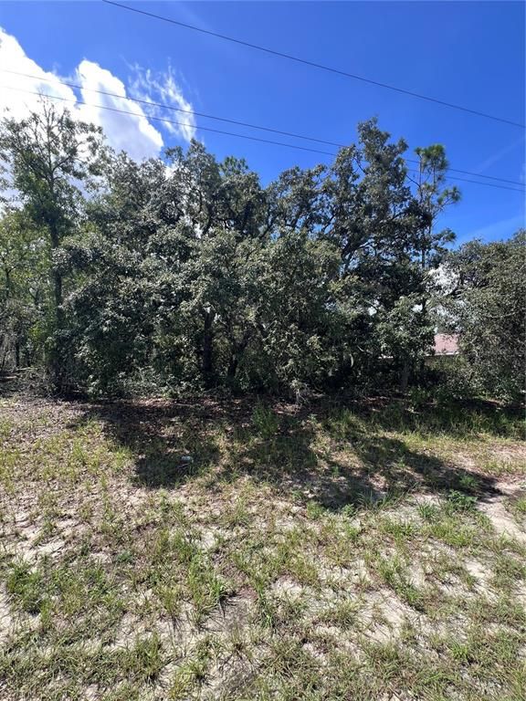 SW 153rd Place Rd 8 Ocala FL - 68c2c4431aee9f45a64af13af7c1a9f2 Full 