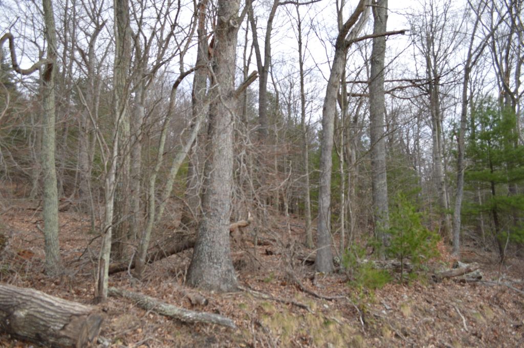 Little Mountain Rd 2, New Castle, VA 24127 Trulia