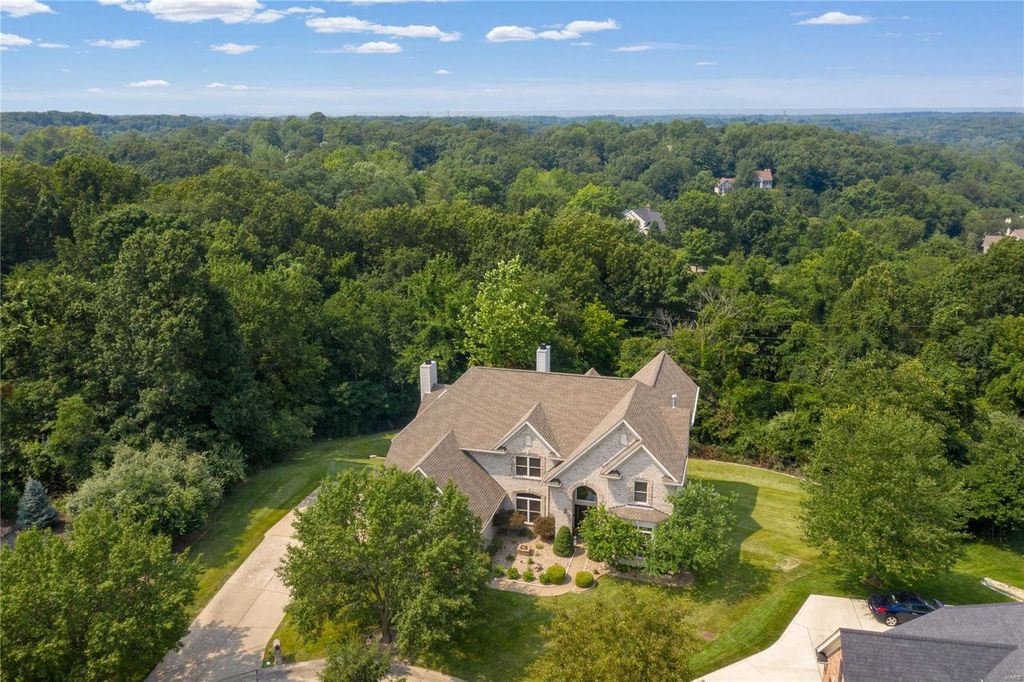 16205 Wynncrest Ridge Ct, Wildwood, MO 63005