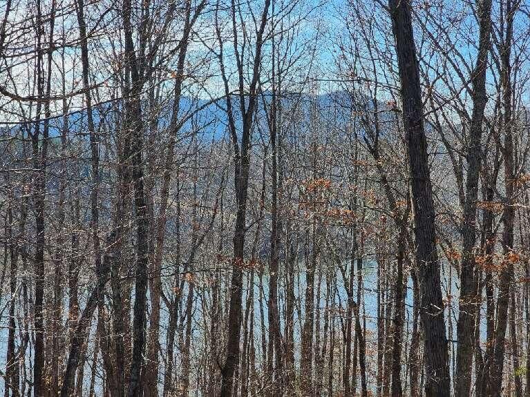 Lot 7 Robin Ridge Ct, Pittsville, VA 24139 MLS 895708 Trulia