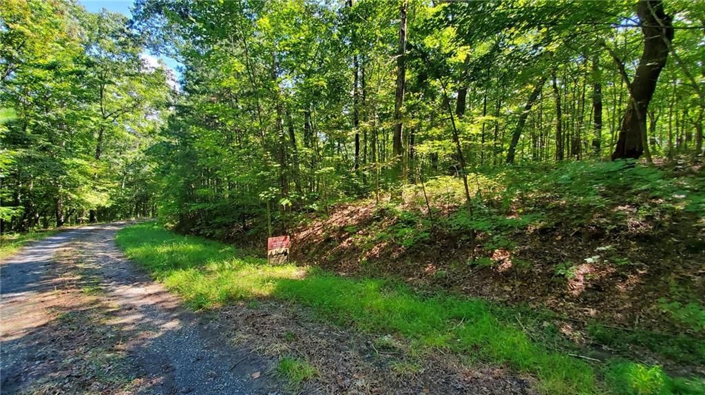 Harris Branch Quarter Lane Rd, Ellijay, GA 30540 Trulia