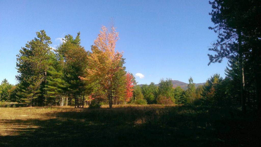 76 Mountain Meadows Way, Upper Jay, NY 12987 Trulia