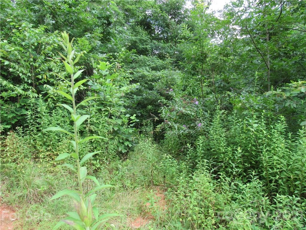 124 Hummingbird Dr 10, Rosman, NC 28772 Trulia