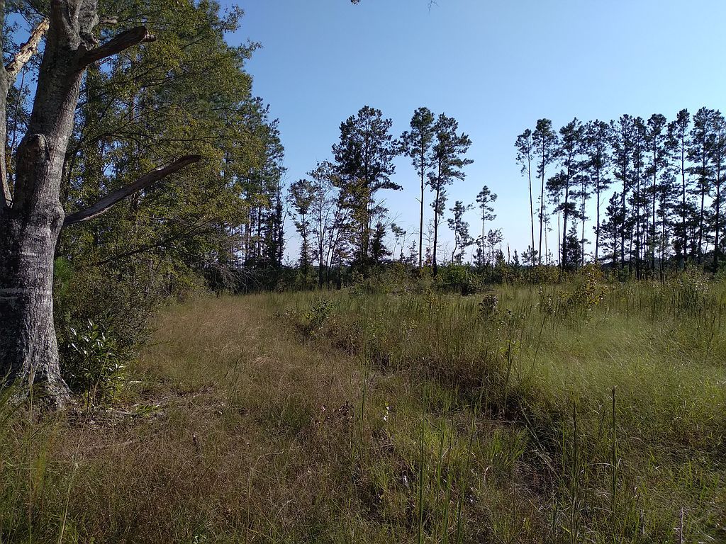 478 Busby Rd, Tibbie, AL 36583 Trulia