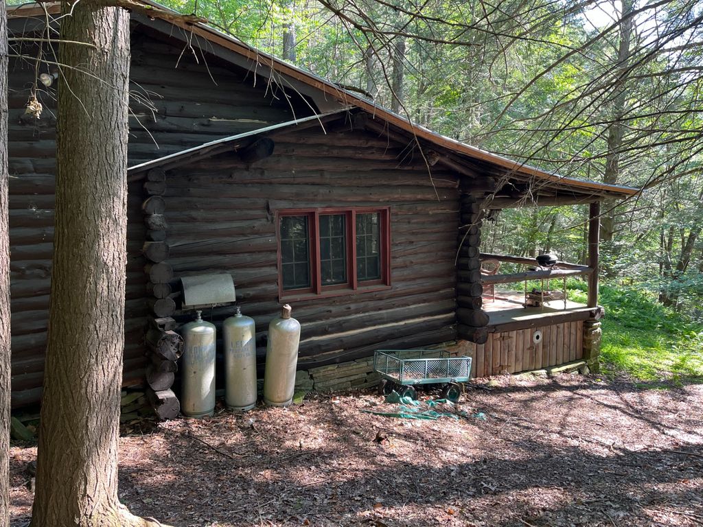 6000 County Highway 17, East Branch, NY 13756 Trulia