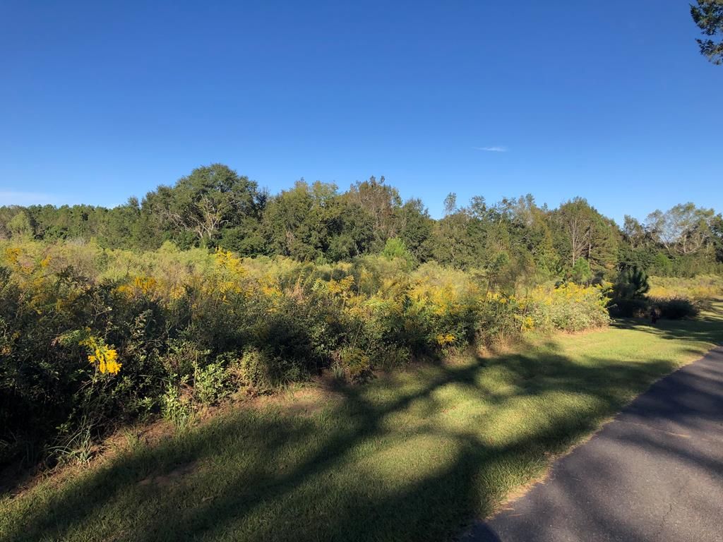 Pear St, Pavo, GA 31778 Trulia