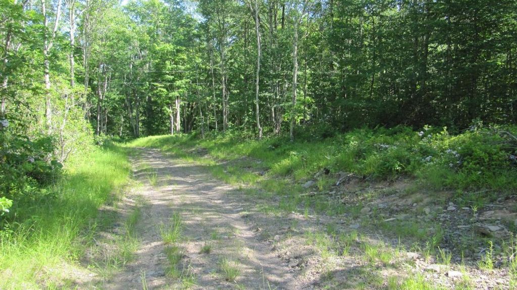 Upper Perch Lake Rd, Andes, NY 13731 Trulia